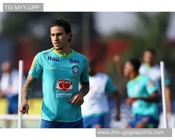 厄瓜多尔足球队的辉煌历程与未来展望分析 厄瓜多尔足球队的辉煌历程与未来展望分析